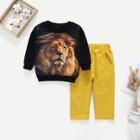 Shein Toddler Boys Lion Print Sweatshirt With Pants