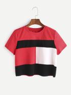Shein Color Block Cut And Sew Crop T-shirt