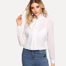Shein Tie Neck Plain Sheer Blouse