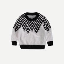 Shein Toddler Boys Striped Jumper