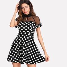 Shein Mesh Insert Fit & Flare Dress