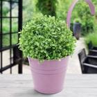 Shein Iron Bucket With Detachable Handle