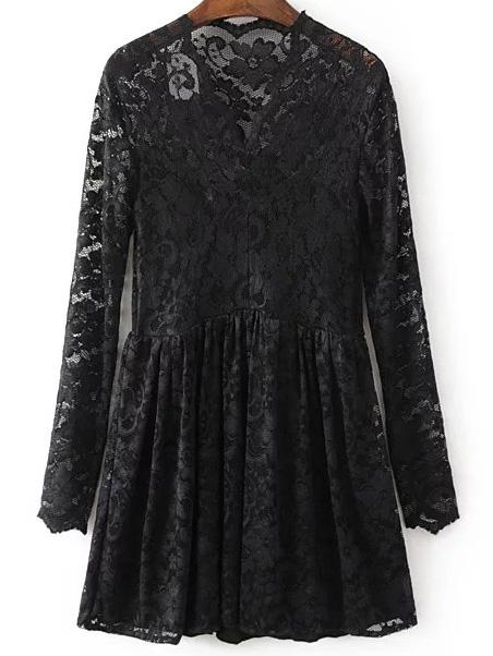 Shein Black V Neck Lace Dress