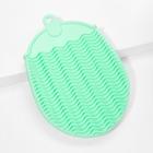 Shein Plastic Facial Cleansing Tool