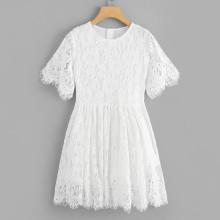 Shein Fit & Flare Eyelash Lace Dress