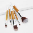 Shein Professional Makeup Brush 5pcs