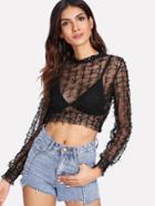 Shein Contrast Lace Crop See-through Top