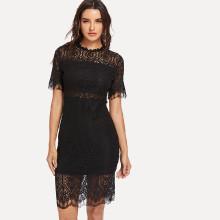Shein Eyelash Lace Overlay Pencil Dress