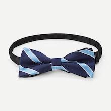 Shein Men Striped Tie