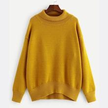 Shein Plus Solid High-neck Jumper