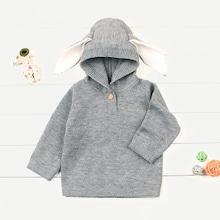 Shein Toddler Boys Rabbit Ear Hooded Jumper
