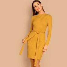 Shein Waist Belted Mock-neck Ribbed Knit Dress