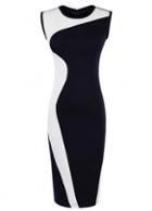 Rosewe Two Tone Pattern Bodycon Dress With Round Neck