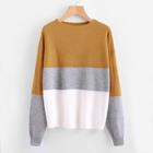 Shein Plus Round Neck Color-block Jumper