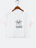 Shein Contrast Trim Embroidered Crop T-shirt - White