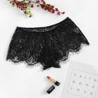 Shein Eyelash Lace Panty