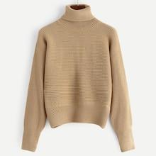 Shein Turtle Neck Solid Jumper