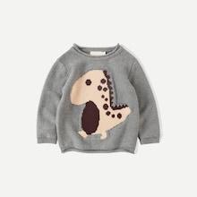 Shein Toddler Boys Dinosaur Pattern Knitwear
