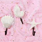 Shein Shell Shaped Hanger 3pcs