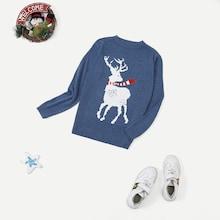 Shein Boys Elk Print Sweater