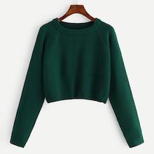 Shein Raglan Sleeve Solid Crop Jumper