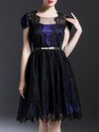 Shein Black Sheer Belted Lace A-line Dress