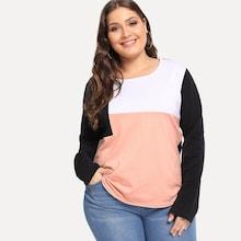 Shein Plus Color Block Sweatshirt
