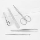 Shein Stainless Steel Scissors & Tweezers Set 5pcs