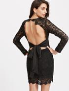Shein Bow Tie Open Back Plunging Lace Dress