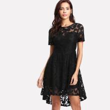 Shein Fit & Flare Lace Dress