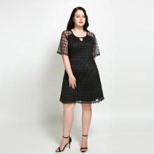 Shein Plus Mesh Contrast Plaid Dress