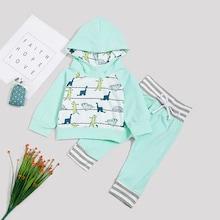 Shein Toddler Boys Dinosaur Print Hoodie & Drawstring Pants