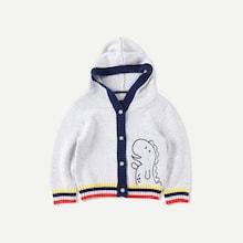 Shein Toddler Boys Cartoon Pattern Hooded Sweater Coat