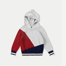 Shein Toddler Boys Color Block Hooded Jumper