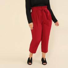 Shein Plus Frill Waist Knot Front Cigarette Pants