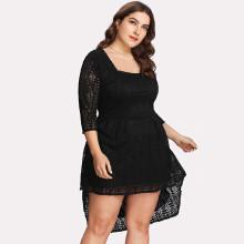 Shein Plus Lace Overlay Dip Hem Dress