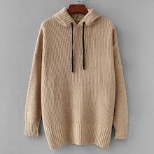 Shein Plus Solid Hooded Sweater