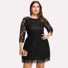 Shein Plus Raglan Sleeve Eyelash Lace Dress