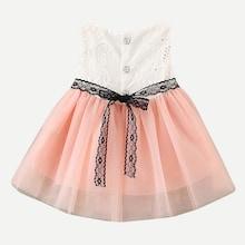 Shein Toddler Girls Cut Out Contrast Lace Dress