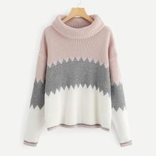 Shein Plus Color Block Rolled Neck Jumper
