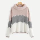 Shein Plus Color Block Rolled Neck Jumper