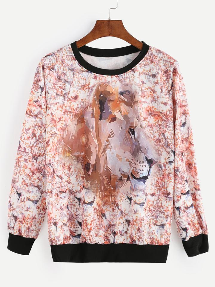 Shein Contrast Trim Birdcage Print Sweatshirt