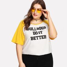 Shein Plus Letter Print Contrast Raglan Sleeve T-shirt