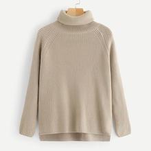 Shein Solid Raglan Sleeve High-neck Jumper