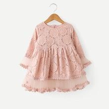 Shein Toddler Girls Lace Overlay Babydoll Dress