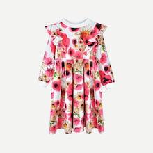 Shein Toddler Girls Ruffle Trim Floral Print Dress