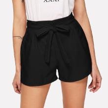 Shein High Waist Self-tie Shorts