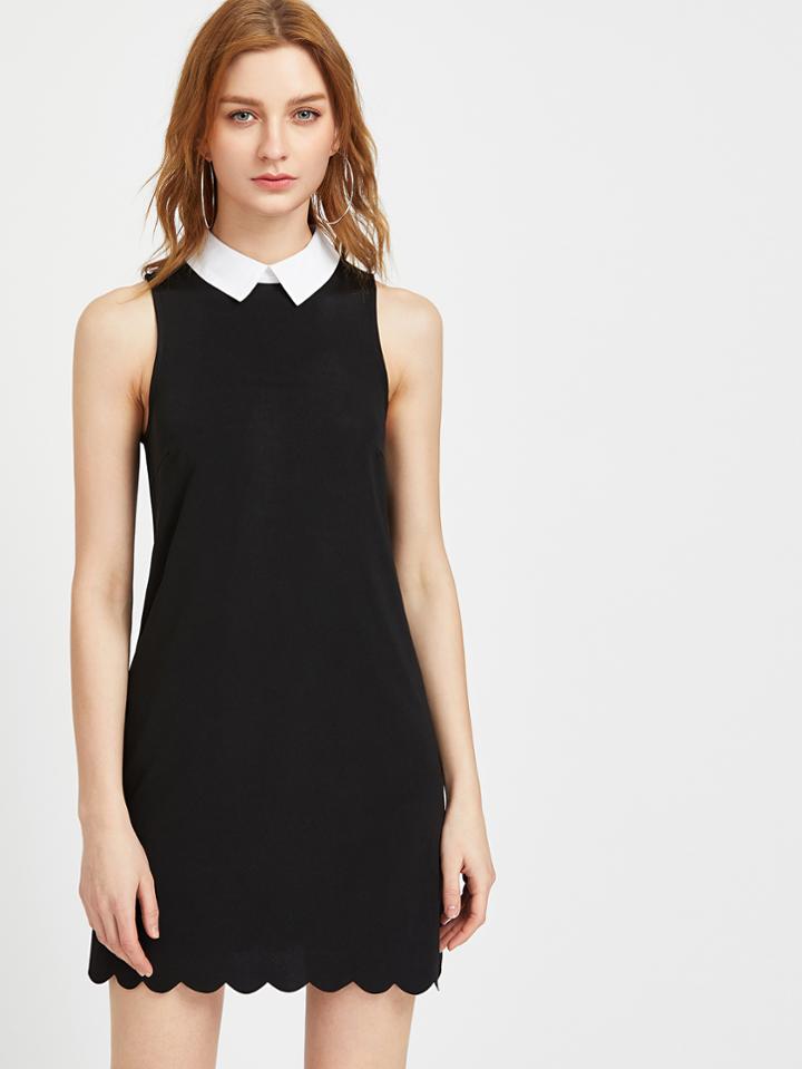 Shein Contrast Collar Scallop Hem Dress