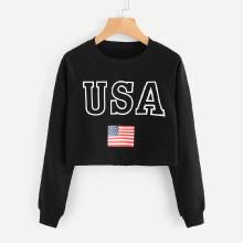 Shein Usa Flag Print Crop Raglan Pullover