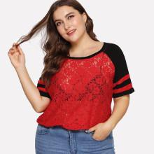 Shein Plus Lace Contrast Stripe Tee